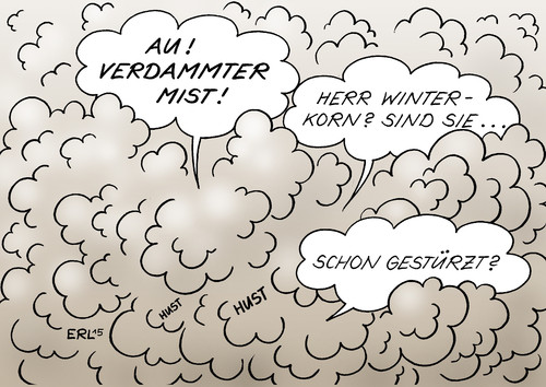 Winterkorn Winterkorn