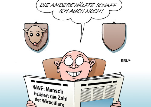 Wirbeltiere Wirbeltiere