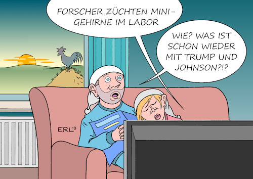 Zuchterfolg Zuchterfolg