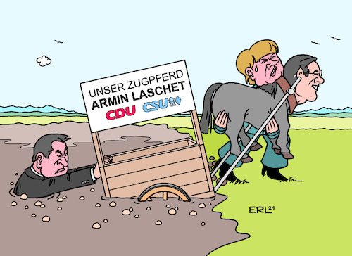 Zugpferd Zugpferd