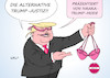 Cartoon: Alternative Trump-Justiz (small) by Erl tagged usa präsident donald trump dekret einreiseverbot muslime urteil gericht verfassungswidrig verfassung alternative justiz recht gesetz werbung produkte mode tochter ivanka weißes haus kellyanne conway rechtspopulismus vermischung amt geschäft karikatur erl