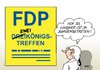 FDP Dreikönigstreffen