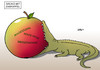 Cartoon: GroKo mit Zankapfel (small) by Erl tagged groko,große,koalition,cdu,csu,spd,streit,themen,streitthema,zankapfel,mindestlohn,rente,63,energiewende,krokodil,apfel
