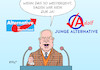 Cartoon: Junge Alternative (small) by Erl tagged politik,partei,afd,alternative,für,deutschland,rechtspopulismus,jugend,jugendorganisation,junge,problem,rechtsextremismus,parteiführung,distanzierung,ja,nein,adolf,alexander,gauland,karikatur,erl