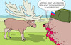 Cartoon: Militärausgaben (small) by Erl tagged politik,bericht,sipri,institut,friedensforschung,stockholm,rüstungsausgaben,militär,rüstung,rekord,weltweit,reaktion,bedrohung,kriege,nahost,krieg,angriff,überfall,wladimir,putin,russland,ukraine,bär,elch,nato,karikatur,erl