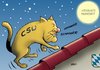 Cartoon: Seehofer (small) by Erl tagged csu,bayern,wahlkampf,landtagswahl,bundestagswahl,wahl,löwe,kätzchen,schnurren,absolute,mehrheit,katze,dach,mond,vollmond,sterne,ministerpräsident,horst,seehofer