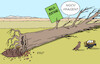 Cartoon: Wald (small) by Erl tagged politik,umwelt,natur,wald,zustand,waldzustandserhebung,2023,waldsterben,ökosystem,baum,bäume,krank,klima,klimawandel,erderwärmung,hitze,dürre,trockenheit,lebensraum,vogel,vögel,nest,eier,karikatur,erl