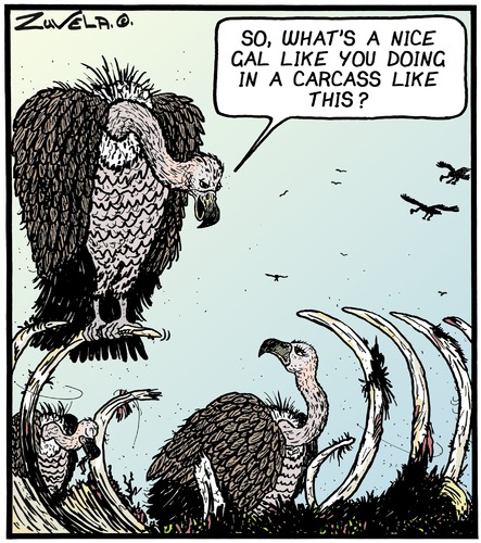 Carrion again Carrion again