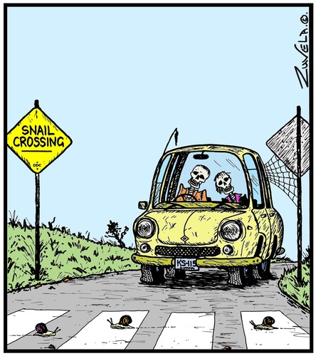 Cartoon: Snail Crossing (medium) by Tony Zuvela tagged waiting,road,snails,car,in,skeletons,died,dead,couple,elderly,pedestrian,zebra,crossing,snail