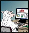 Baa funny