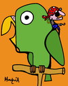 Cartoon: Pirates parrot (small) by Munguia tagged pirate parrot perico pirata munguia costa rica birds cartoon