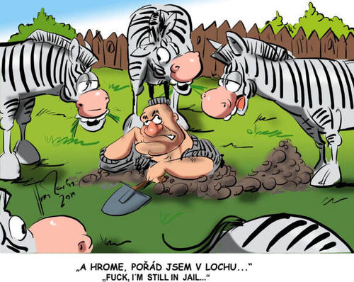 Cartoon: zebra (medium) by Martin Hron tagged zebra