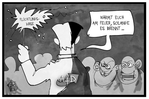 AfD-Erfolg AfD-Erfolg