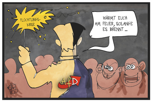AfD-Erfolg AfD-Erfolg