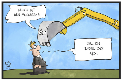 AfD-Flügel AfD-Flügel