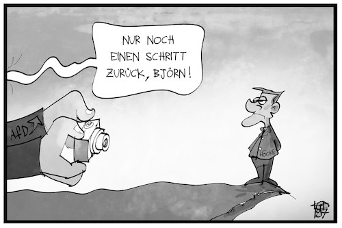 AfD-Flügel AfD-Flügel