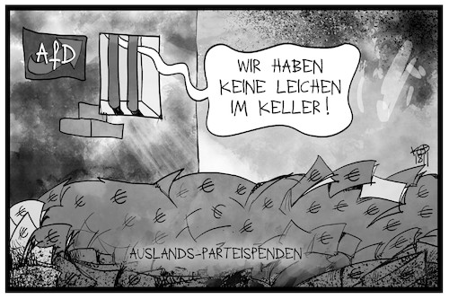 AfD-Parteispenden