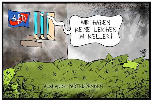 AfD-Parteispenden