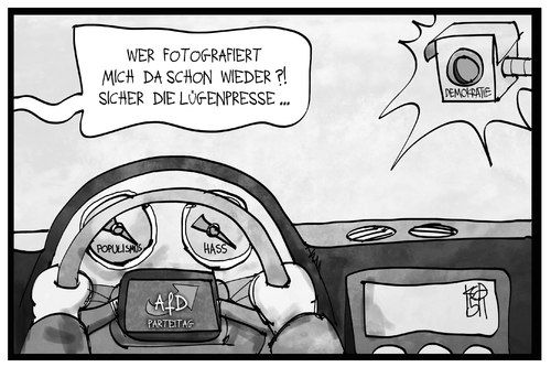 AfD-Parteitag AfD-Parteitag