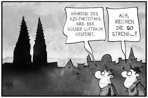 AfD-Parteitag AfD-Parteitag