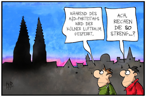 AfD-Parteitag AfD-Parteitag