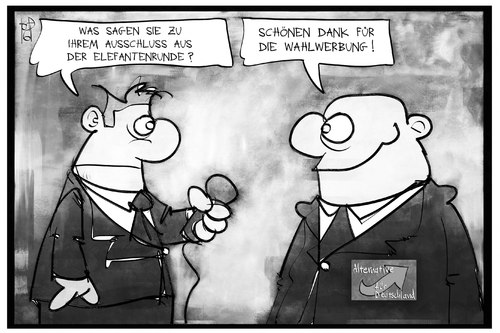 AfD-Wahlwerbung AfD-Wahlwerbung