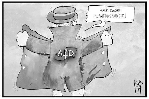 Cartoon: AfD (medium) by Kostas Koufogiorgos tagged karikatur,koufogiorgos,illustration,cartoon,afd,partei,exhibitionist,politik,aufmerksamkeit,provokation,karikatur,koufogiorgos,illustration,cartoon,afd,partei,exhibitionist,politik,aufmerksamkeit,provokation