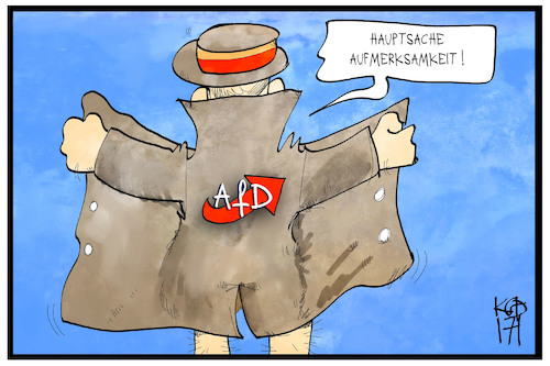 AfD AfD