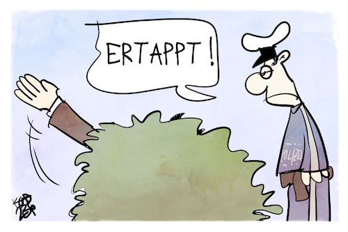 AfD AfD