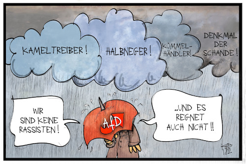 AfD im Regen AfD im Regen