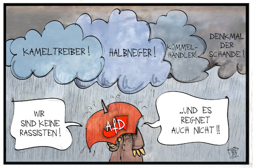 AfD im Regen