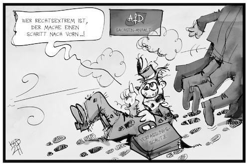 AfD Sachsen-Anhalt AfD Sachsen-Anhalt