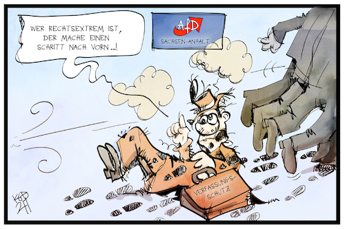 AfD Sachsen-Anhalt AfD Sachsen-Anhalt