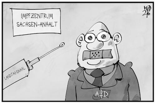 AfD Sachsen-Anhalt AfD Sachsen-Anhalt