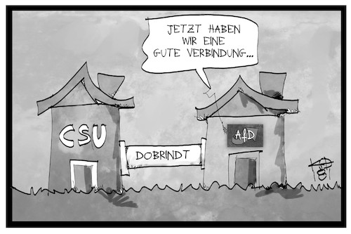 AfD und CSU