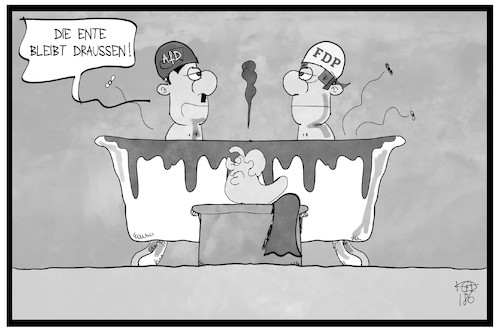 AfD und FDP AfD und FDP