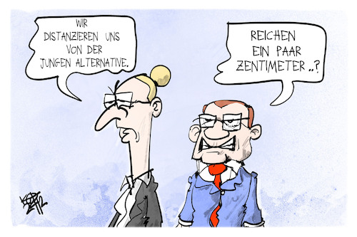 AfD und JA AfD und JA