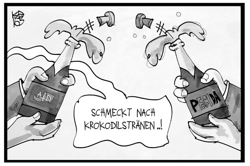 AfD und Pegida AfD und Pegida