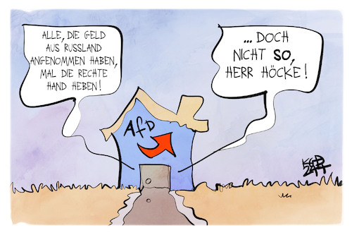 AfD und Russland