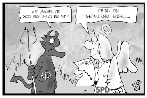 AfD und SPD