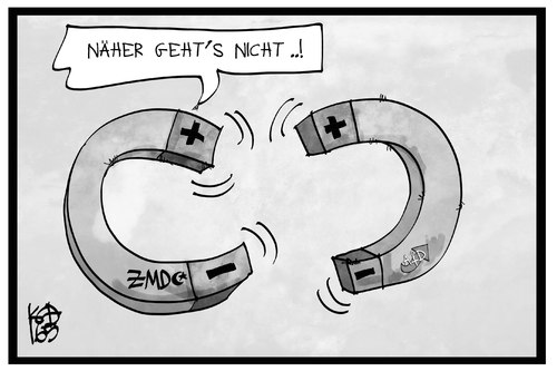AfD und ZMD AfD und ZMD