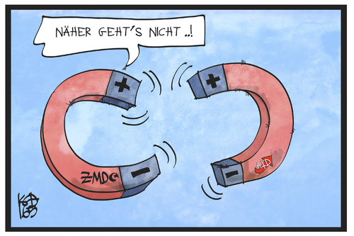 AfD und ZMD AfD und ZMD