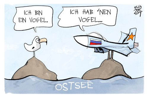 Cartoon: An der Ostsee (medium) by Kostas Koufogiorgos tagged karikatur,koufogiorgos,flugzeug,möwe,vogel,russland,ostsee,karikatur,koufogiorgos,flugzeug,möwe,vogel,russland,ostsee