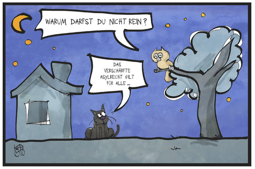 Asylrecht Asylrecht