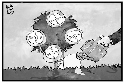 Bayer-Monsanto Bayer-Monsanto