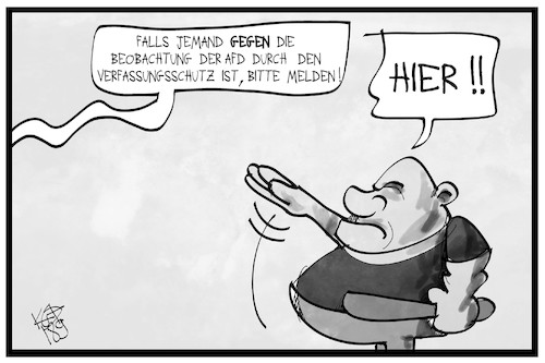 Beobachtung der AfD Beobachtung der AfD
