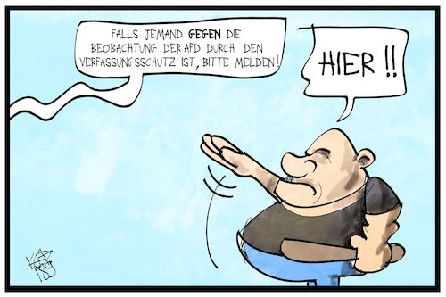 Beobachtung der AfD Beobachtung der AfD