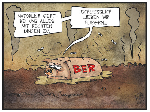 BER und das oder die Fliegen BER und das oder die Fliegen