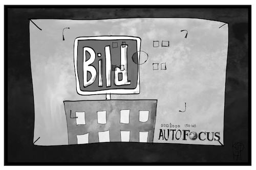 Bild im Focus Bild im Focus