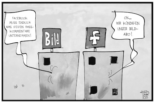 BILD und Facebook